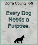 Every Dog Needs a Purpose