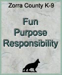 Fun Purpose Responsibility