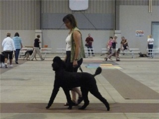 Connie and Aussie
