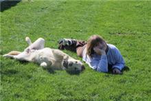 Connie and Aussie