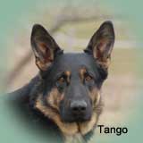 Tango